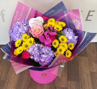 VIBRANT RADIANCE  HATBOX