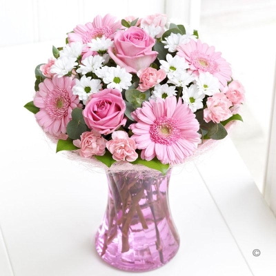 Pink Perfect Gift 2016 2016