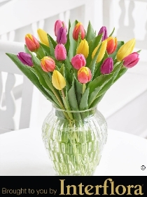 Mixed Tulip Vase