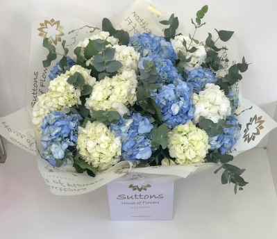 BLUE & WHITE HYDRANGEA HAND TIED