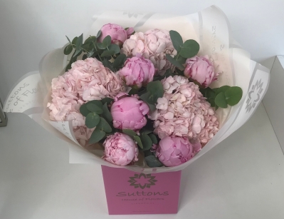 HYDREANGEA AND PEONY