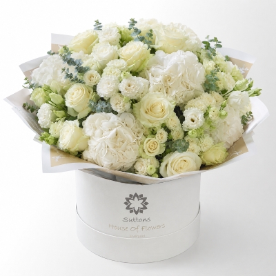 pure elegance  lux hatbox