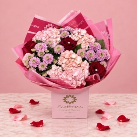 CRIMSON  AND  BLUSH