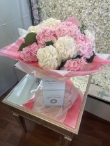 Dreamy Hydrangeas