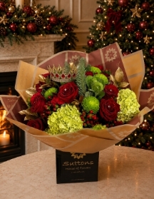 Christmas  Queen with crown