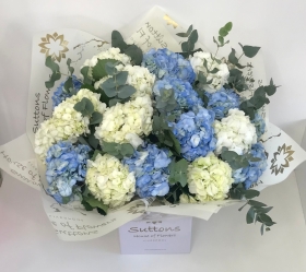 BLUE & WHITE HYDRANGEA HAND TIED