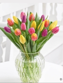 mixed tulip vase