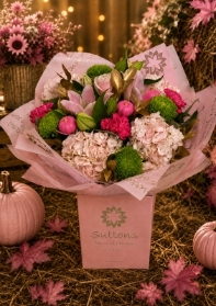 pink pumpkin