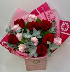 THE BLUSH AND ROUGE 12 ROSES