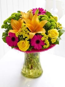 Vibrant Perfect Gift
